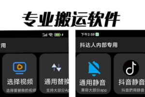 (6576期)对外收费699抖音傻瓜式一键搬运,起号专用5分钟一个视频《软件+详细教程》