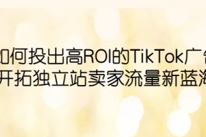 （6102期）如何投出高ROI·TikTok广告，开拓独立站卖家流量新蓝海