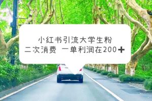 (5914期)小红书引流大学生粉,变现项目,一单利润在200+(教程+资源)
