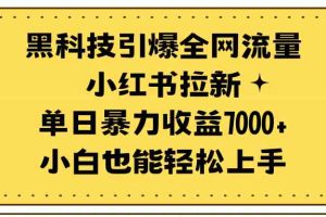 （9679期）黑科技引爆全网流量小红书拉新，单日暴力收益7000+，小白也能轻松上手