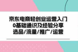 （11569期）京东电商-轻创业运营入门0基础通识及经验分享：选品/流量/推广/运营