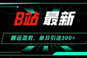 （12085期）B站最新，搬运混剪，单日引流300+创业粉